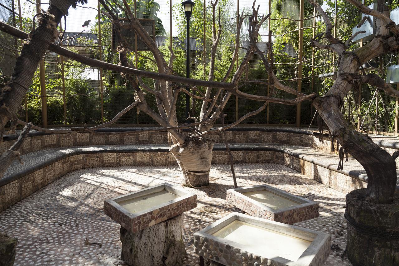 Bungalows Y Temazcal Zoviq Hotel Xochitepec Zewnętrze zdjęcie
